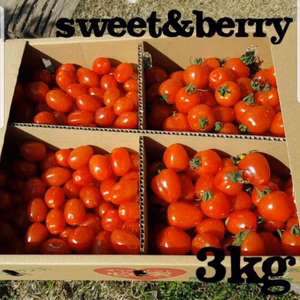 スイートミニトマト&トマトベリーMIX3kg