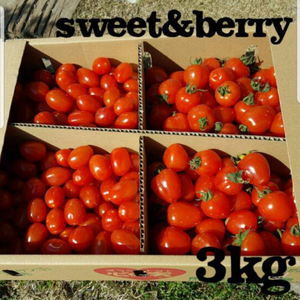 スイートミニトマト&トマトベリーMIX3kg