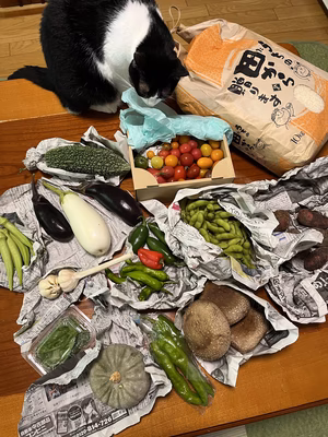 みんなの投稿の画像