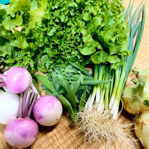 【能登直送】あまとろほわほわ春野菜セット