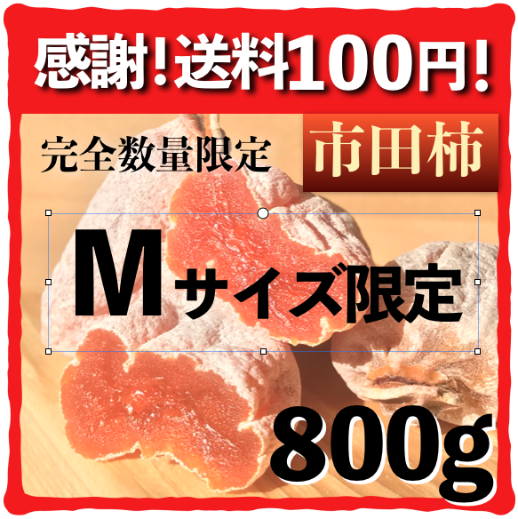 市田柿 干し柿【Mサイズ】 kleinburgmedical.com