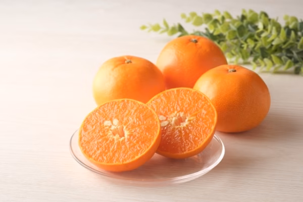 【早割】【予約特典付】柑橘の大トロ〈せとか〉※ご家庭用 ※3月発送