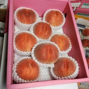 《数量限定》香川県産　桃　日川白鳳