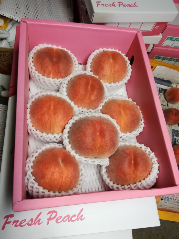 《数量限定》香川県産　桃　日川白鳳