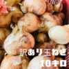 【生でも甘ーい】★訳あり★新玉ねぎ　特別栽培認定