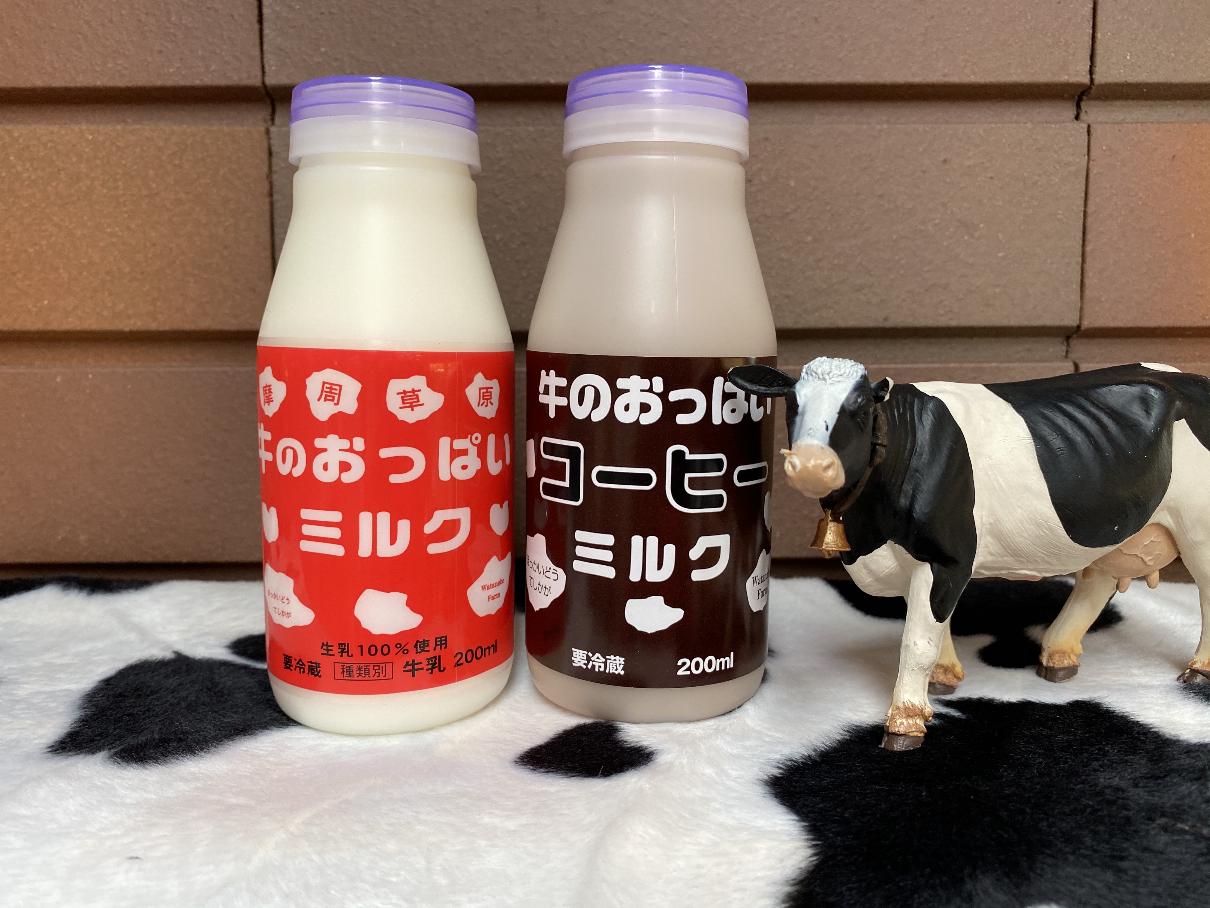 牛のおっぱいミルク、コーヒーミルクセット｜卵・乳の商品詳細