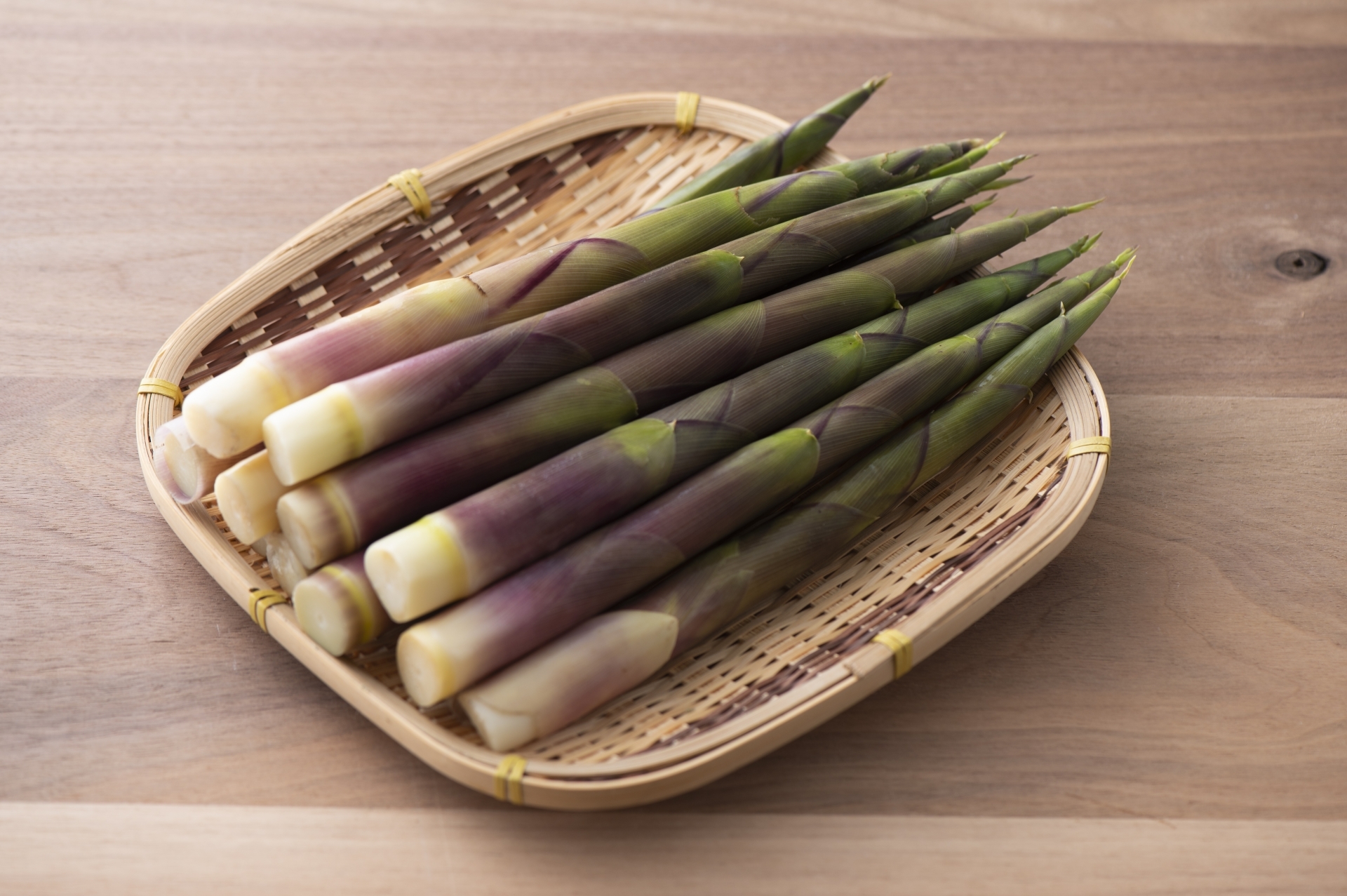 タケノコの通販・お取り寄せ商品｜野菜｜ポケットマルシェ｜産地