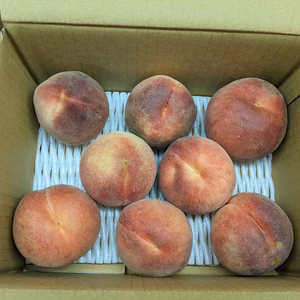 桃　小サイズ8個