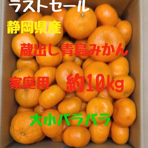 ラストセール　静岡県産　蔵出し青島みかん　家庭用　約10㎏
