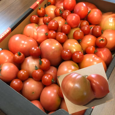 みんなの投稿の画像