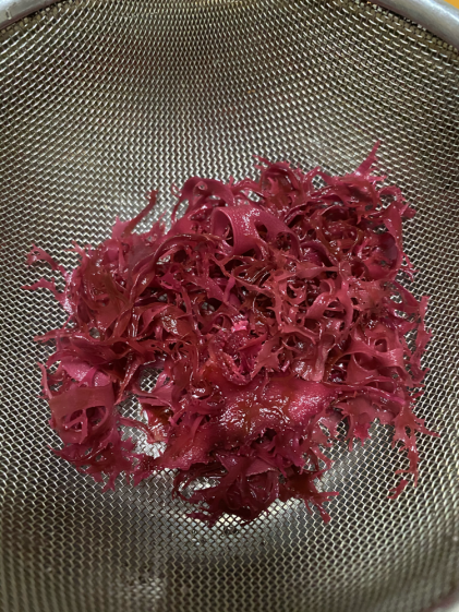 伊豆の美味しい トサカノリ とさかのり 500グラム産地直送です 冷凍品 農家漁師から産地直送の通販 ポケットマルシェ