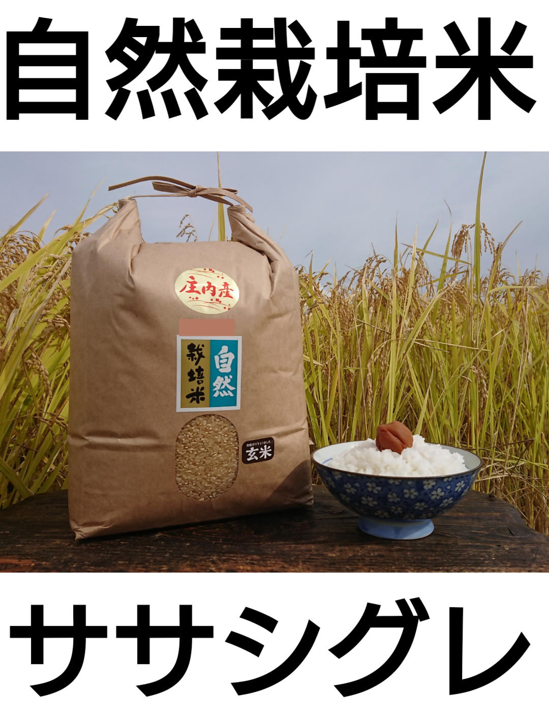 自然栽培米 幻の米 ササシグレ 令和５年産 山形県産 庄内米 玄米 25kg精米により減量します