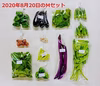 ８月のオーガニック野菜セット（　クール便　）　