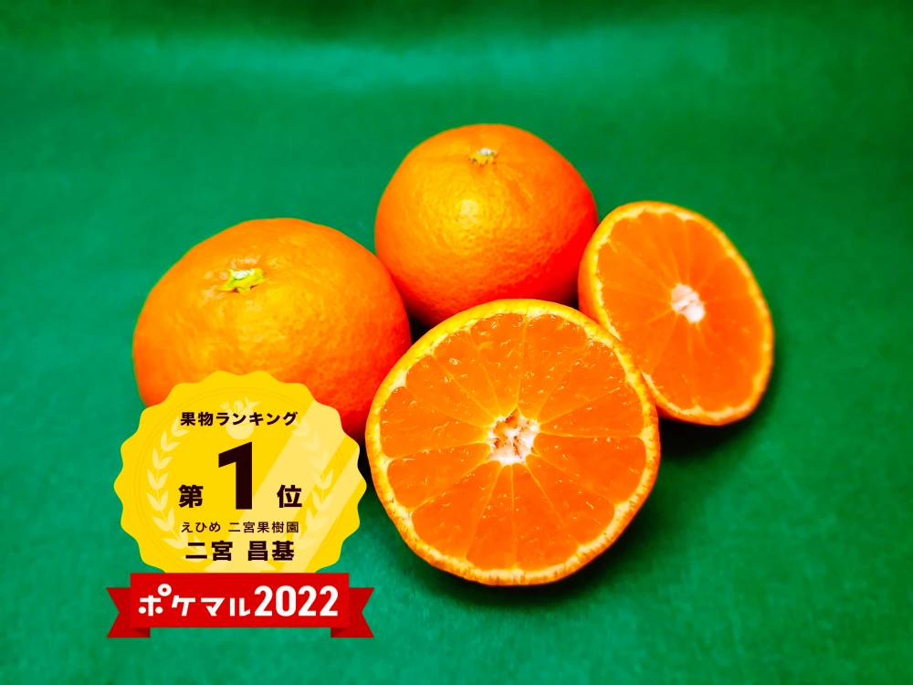 小粒みかん　数量限定予約価格　12月配達