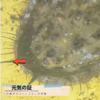 【家庭向け】天然活蝦夷アワビ３個入り