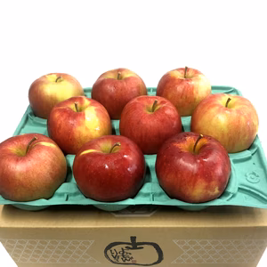 ジョナゴールド約2.7Kg【家庭用】青森県産　数量限定スイーツ作りに