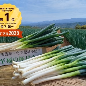 ✅【福袋2026】✅霜に当たり甘みを増した【至福の極甘ネギ】✅2本以上増量❗️