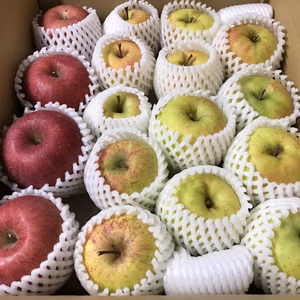 【福袋2023】青森県産りんご 家庭用 きずあり MIX 約5kg 【限定商品】