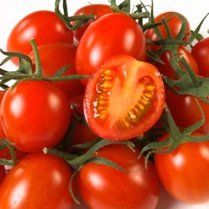 【祝400注文記念✨数量限定大特価❣】ミニトマトの大定番アイコトマト!