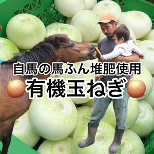 【農薬・化学肥料不使用】有機玉ねぎ　10kg