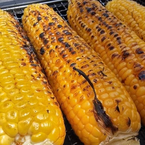 【さとふる人気急上昇1位達成】全国のもろこし好きが虜【2026年9月予約】