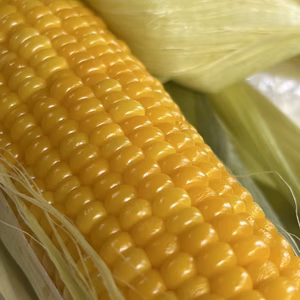 【濃厚なコク、上品な甘み】十和田スーパースイート