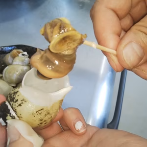 漁師自家製 バイ貝の旨煮