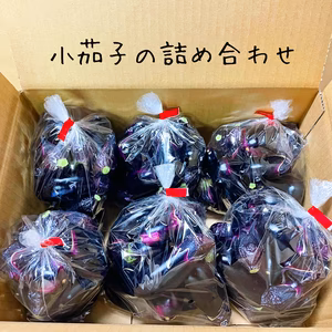 ✨激レア✨【数日限定】 根強い人気の小茄子❗️