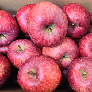 【真っ赤な訳あり】山形県産サンふじ5キロ【バラ詰】