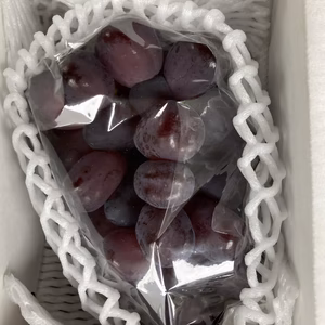 超希少ぶどう富士の輝600g以上ブラックシャインマスカット
