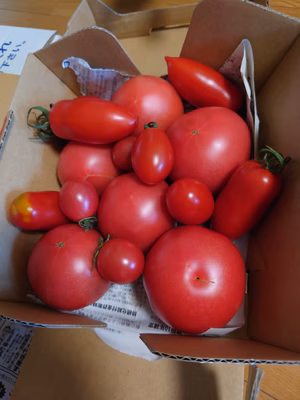 みんなの投稿の画像