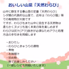 《予約受付》採れたて山菜天然わらび わらび漬・おひたし等で