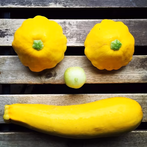 有機栽培プレミアム野菜(有機ExtraVirginオリーブオイルをプレゼント)