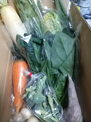 みんなの投稿の画像