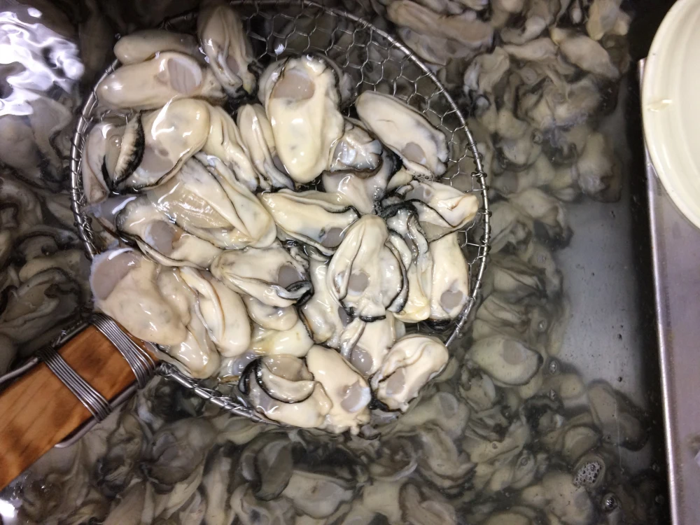 鍛え牡蠣 再販！旬です 今食べたい  広島牡蠣老舗の味!