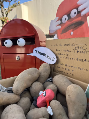 みんなの投稿の画像