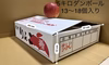 太陽の光を沢山浴びた林檎《シナノスイート》