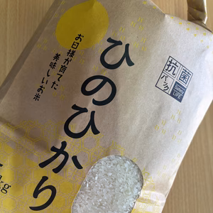 令和６年度産ひのひかり