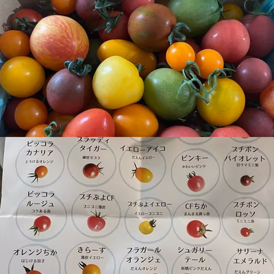 みんなの投稿の画像