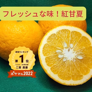 マーマレードにもワックス使っていない紅甘夏