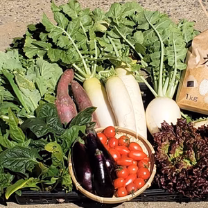 【第三弾】ダンボールに『ぎっしりと!!』野菜セット♪