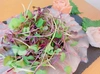 【定期便】マイクロリーフmix(600g)