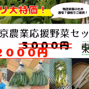 【訳アリ大特価！】東京農業応援野菜セット！！