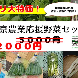 【訳アリ大特価！】東京農業応援野菜セット！！