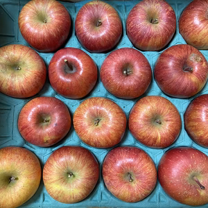 数量限定！【家庭用】シナノスイート 5kg箱～ 信州りんご 