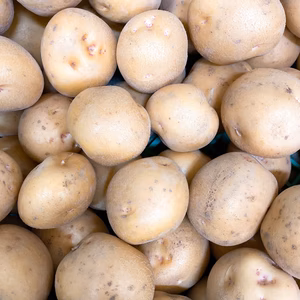 新じゃが キタアカリ