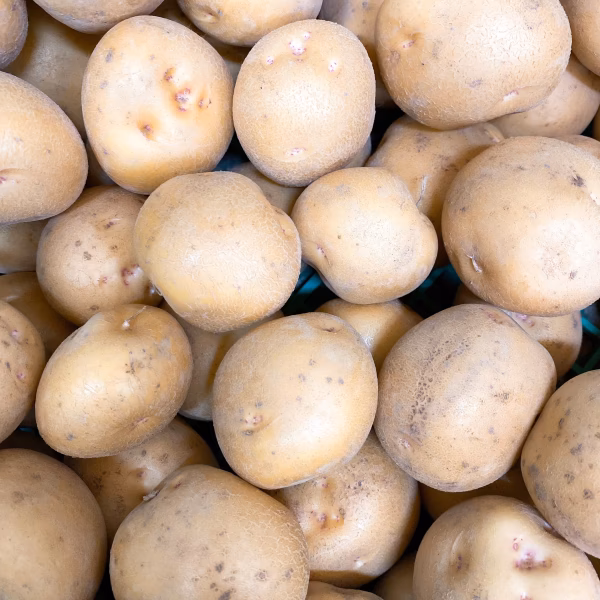 新じゃが キタアカリ