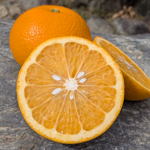 ほろ苦さがクセになる！​弾ける果粒！酸味と甘みの黄金比の八朔！