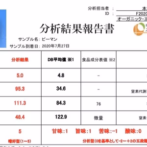 ピーマン　「にしき」