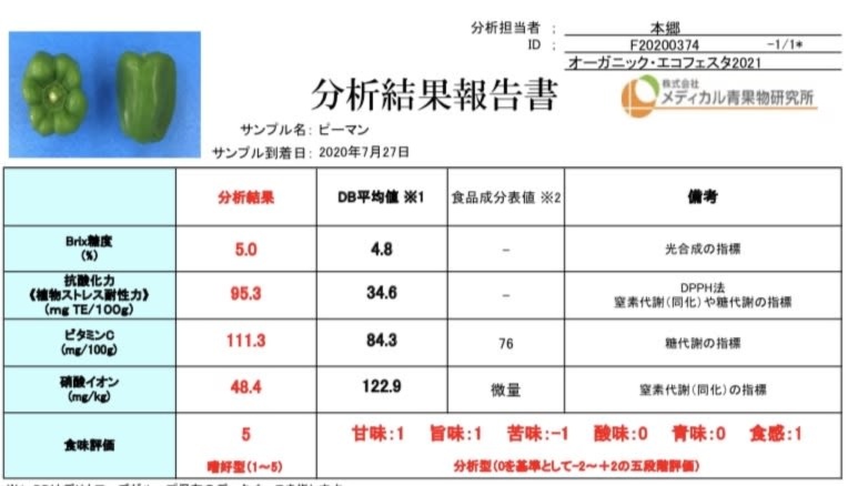 ピーマン にしき 農家漁師から産地直送の通販 ポケットマルシェ